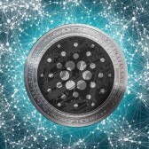 Cardano Ambassador
