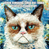 CryptoCatnip