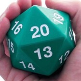 1000d20