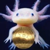 CryptoAzolotl
