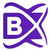BlockchainX