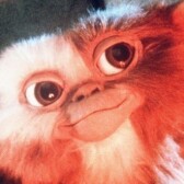 CryptoGremlin
