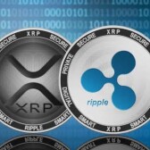 derbycuzxrp