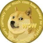 Doge coin how did it start???