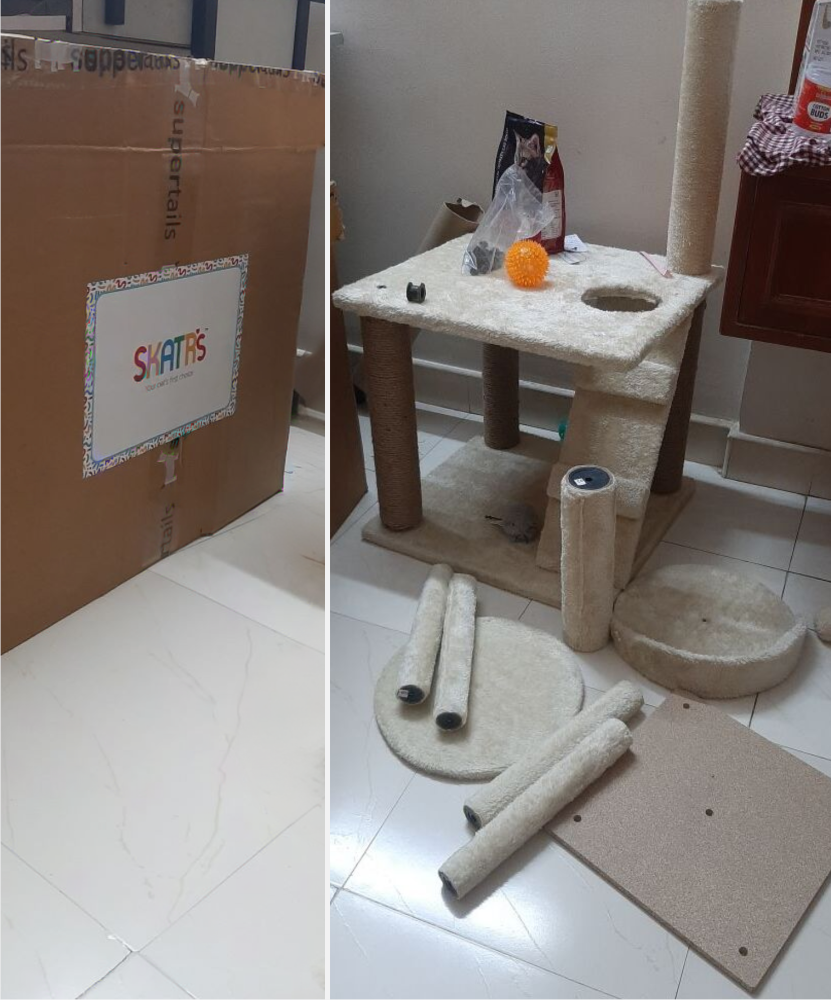cat pet toys