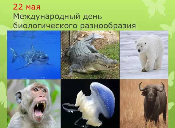 415c172e8e958ea2ffd14d7a1837b37e603af31f191bfb31331d3ade4f3aae0f.png