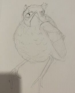 a rough sketch of a fledglin robin