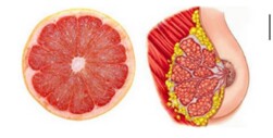 grapefruit