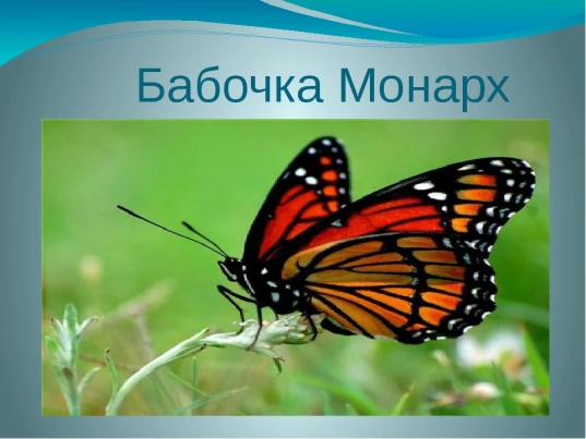 e6f711ce0448decab959334ebf7b99c0e28f5db7743321f1cd3c31bb49c5454b.jpg