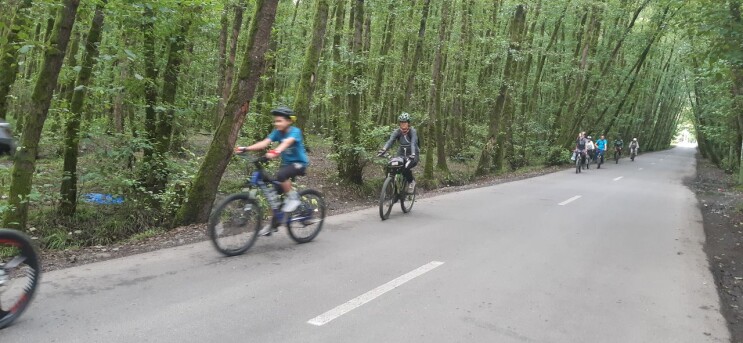 Sport, Cycling, Photography of  Nature