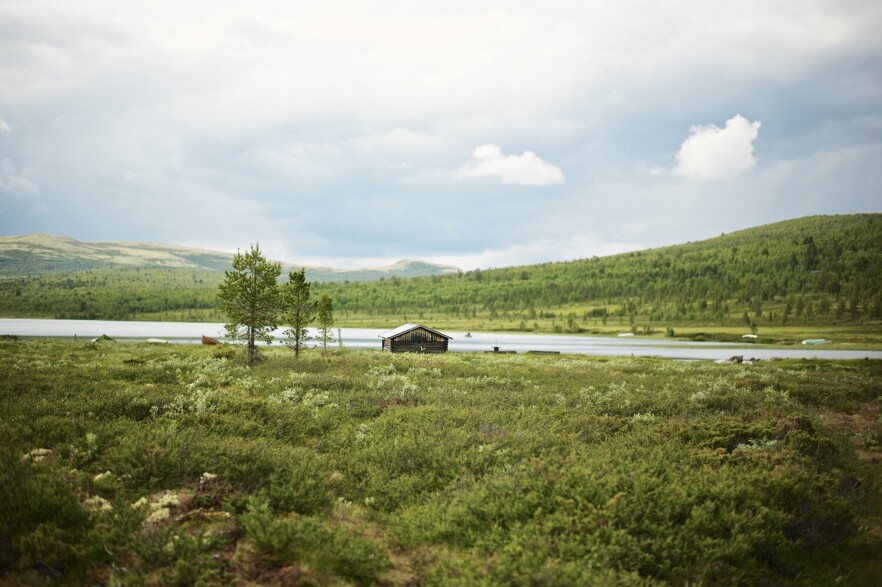 Haustsjøen