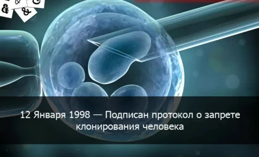 6287400b12dc3689d9c04e2d74284f51c5fd3ce9cfec16b5b0b7b0d680280646.jpg