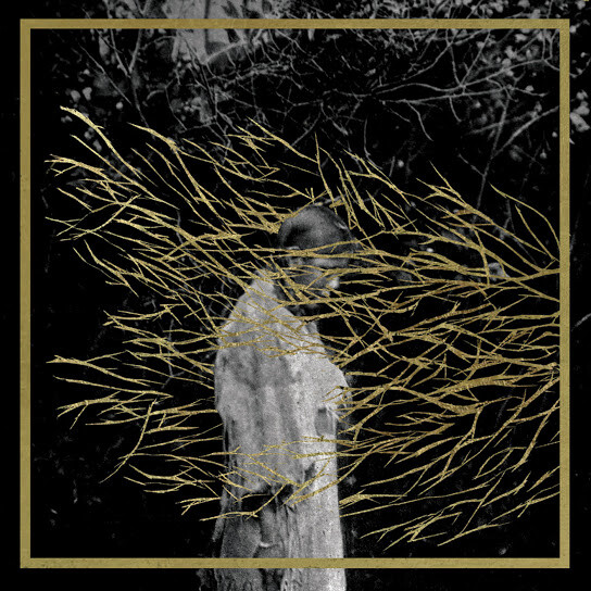Forest Swords - Engravings, album art.
