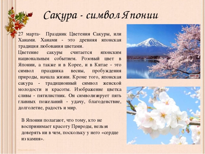 a3b2f1497ea4072ace2332712e3291e855e51d7b6c54c9eca554cf51e96a2298.jpg
