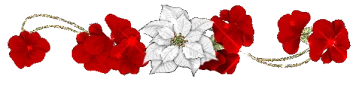 9cb05a21b79febc1958c268a0d625d65878c03d94a3a923529431d69fc2fb2d3.gif