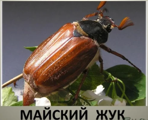 9d1b0122b9148bcc4166b5d7a854c38cbf847f6268fd2ae82659dfc9ed3f1635.png