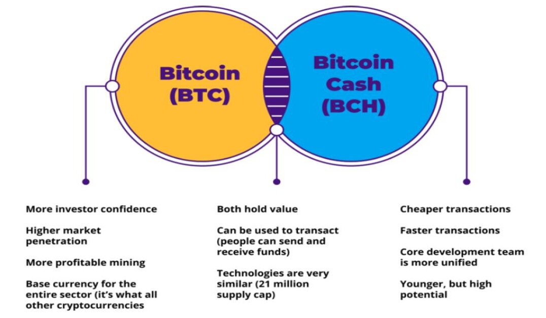 Bitcoin Cash