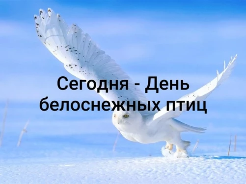 b250149288734ddedb721346d862a794a3c663847eb300868f223c5c4b19f6ac.jpg
