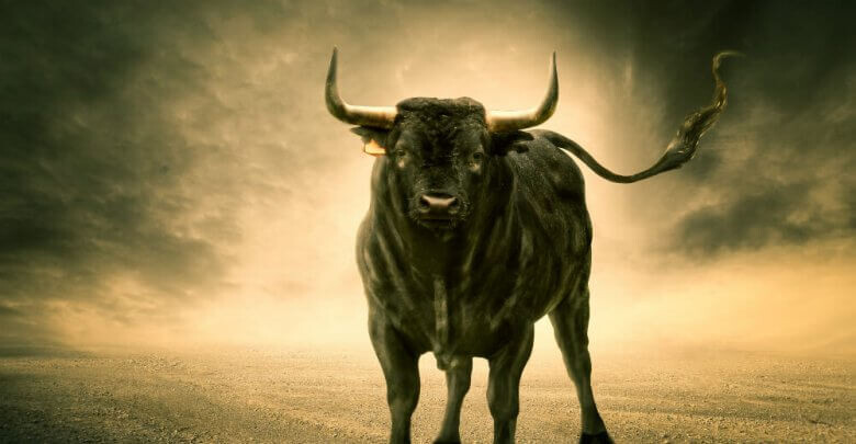 Bull Run