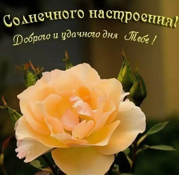 7db68202603cab242aa35f9206e7b5a9b15199c36a8b1dfd0ef38e9ff5418df7.jpg