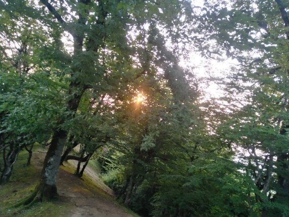 At That Moment, I Found My Missing Half &amp; Lost It The Moment Later!