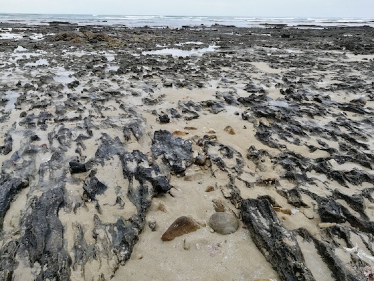 Rocky beach view