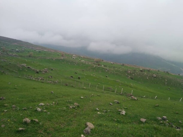 The Lush Mountains in The Outset of Spring | Iran