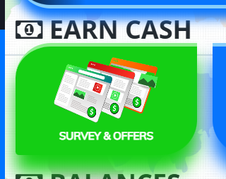 Survey and offers