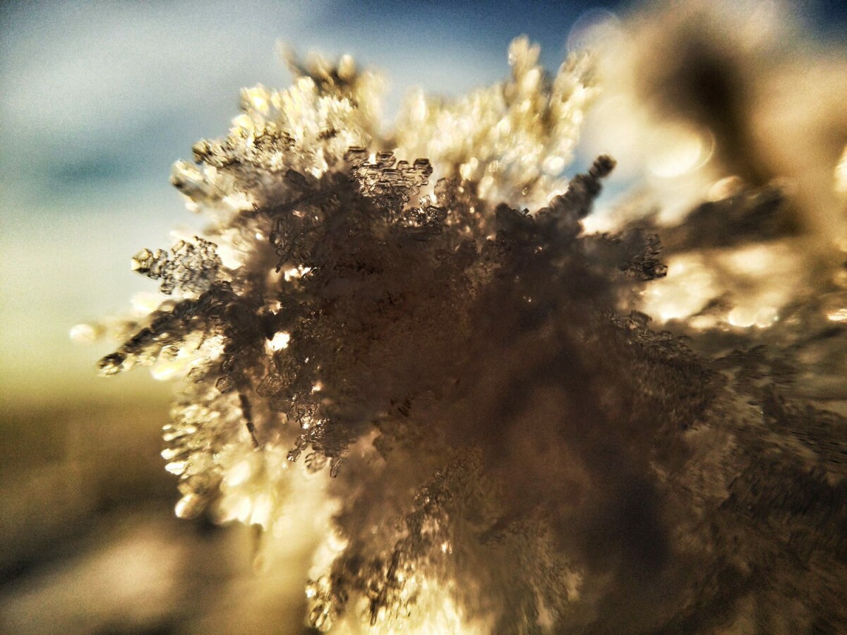 macro shot of frost on grass at dawn shot with olloclip and iphone 4s