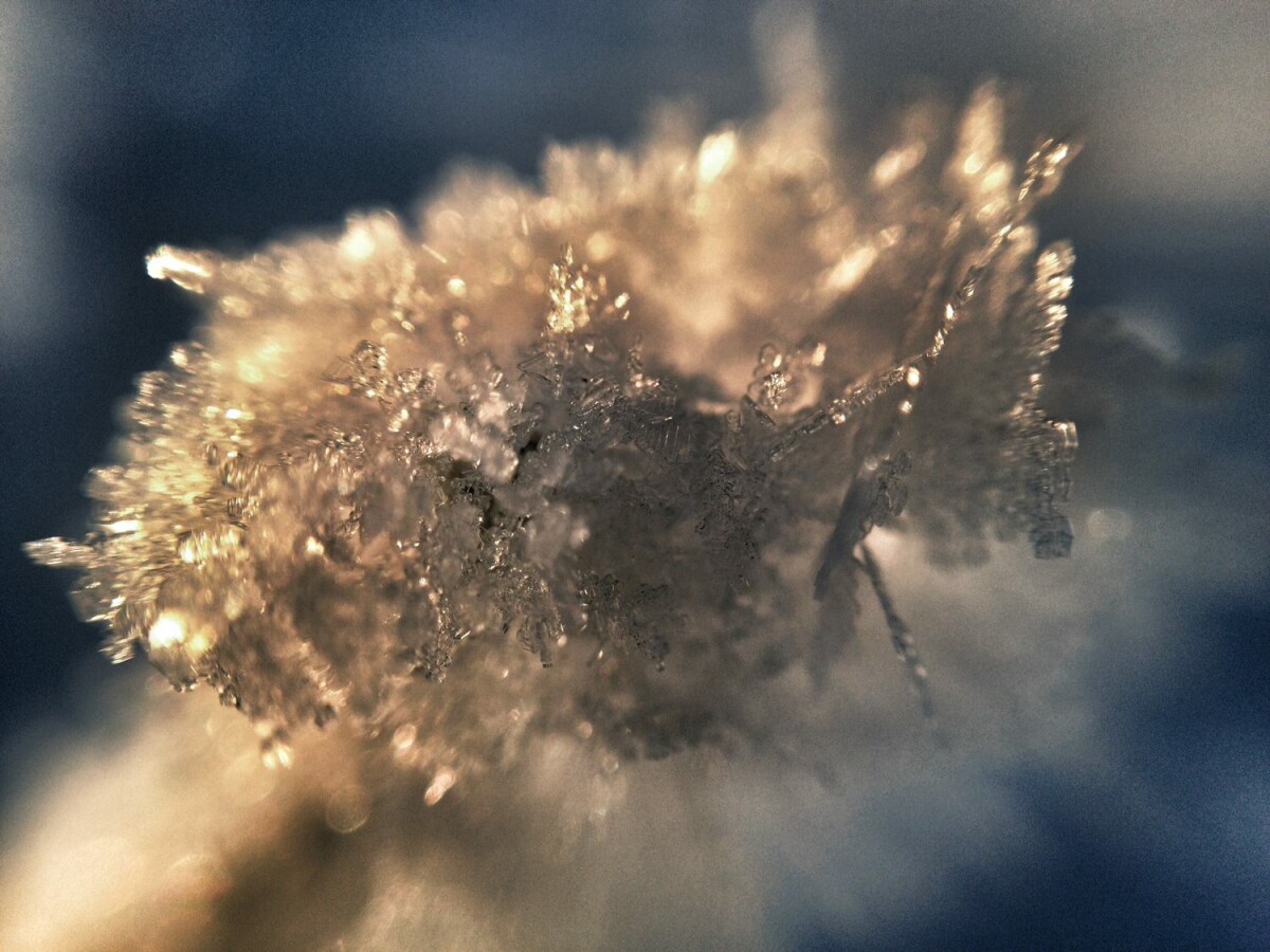 macro shot of frost on corn husk shot with olloclip and iphone 4s
