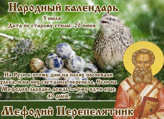 1563d5646a4b250772d33eeeb450825d433699061f8e504fdac56cdd945454f9.png