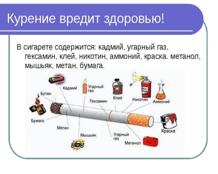1665ed50f1a33c2be674309d7e82d159d454e123d4de556ab6a1484c412eee8c.jpg