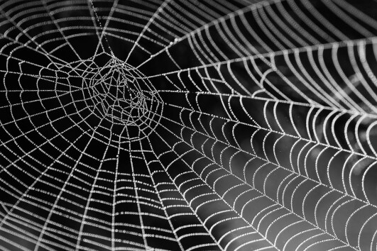 decentralize the web