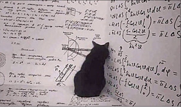 Schrodinger's cat - like a black hole in the corner of physics