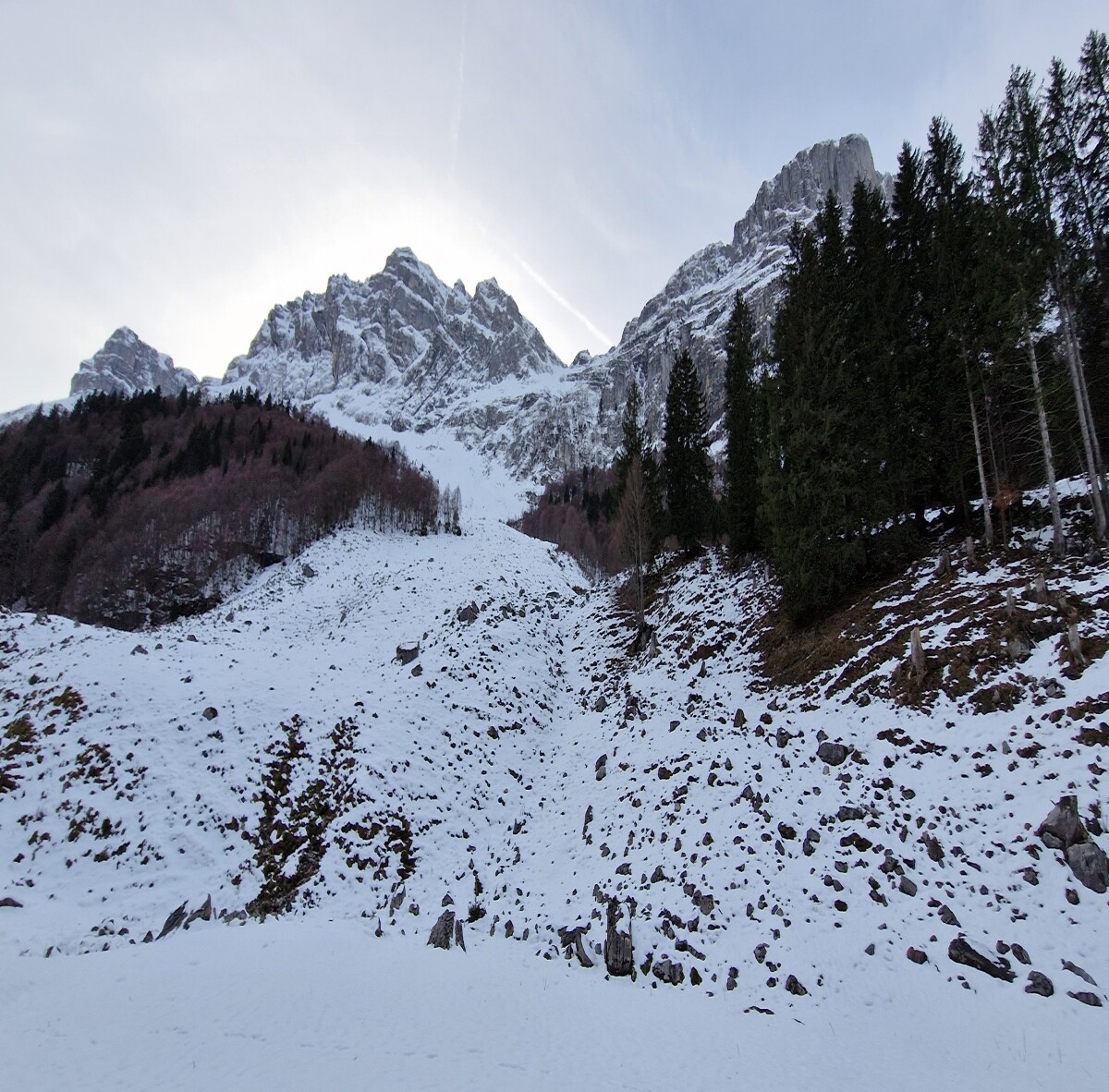 Snowy slope