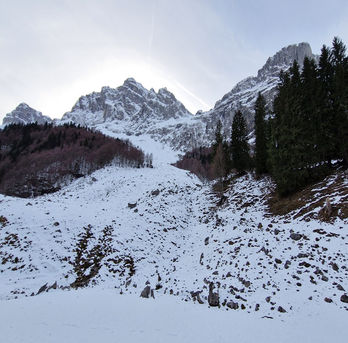 Mountains, snow and trees