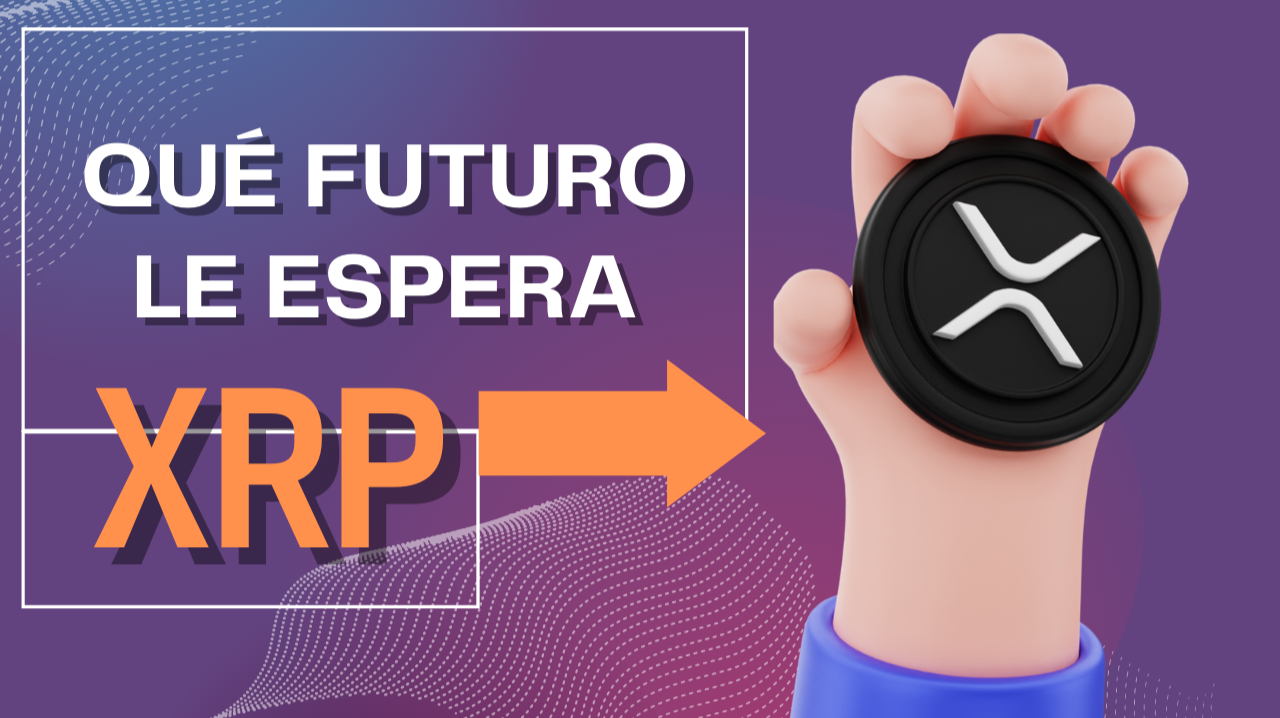 xrp ledger