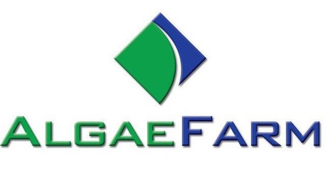 Algea Farm Airdrop