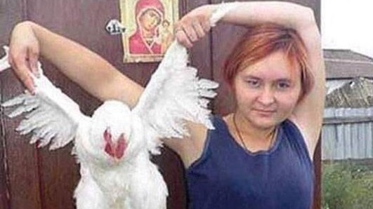 Read and win that great, amazing chicken.