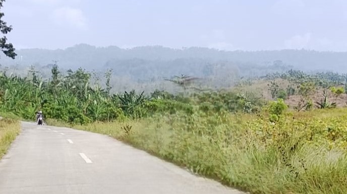 "Cruising through the isolated concrete roads of Sojomerto, Gemuh