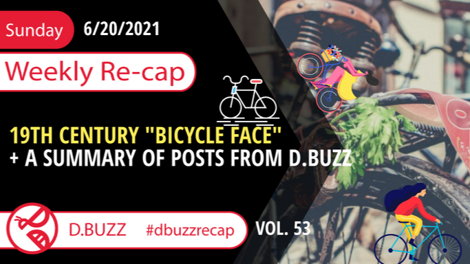Recap of this Week's Posts by D.Buzz Vol.53