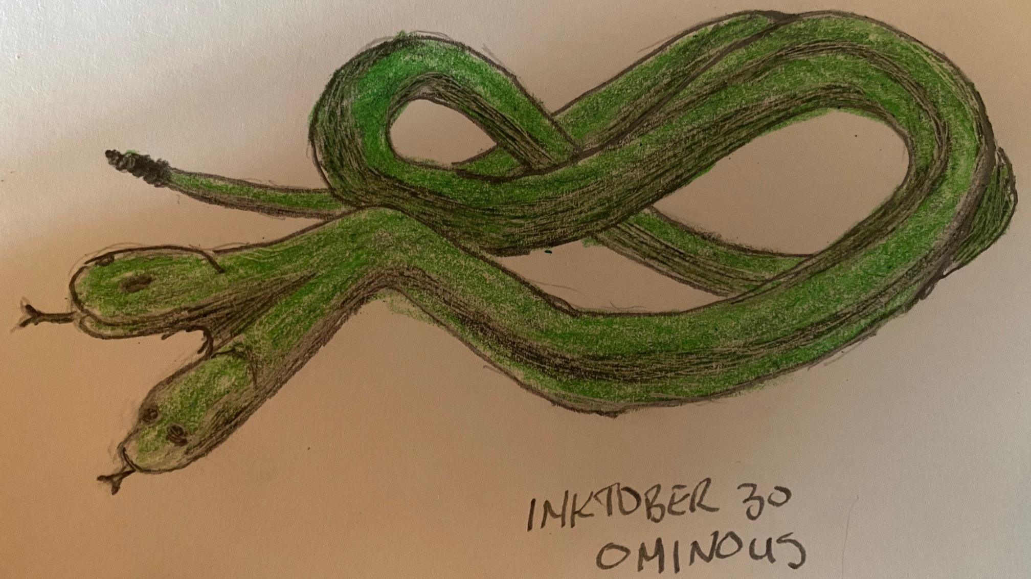 Bicephalous serpent - Drawing in pencil and colored pencil