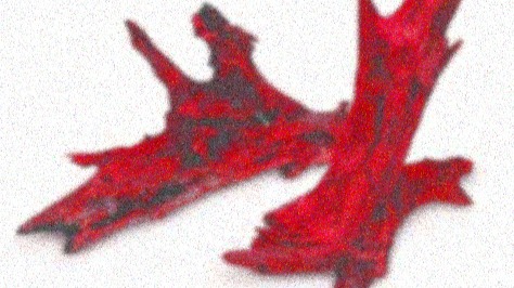 Stolen blurry hued driftwood