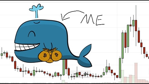 Lolzwhale.