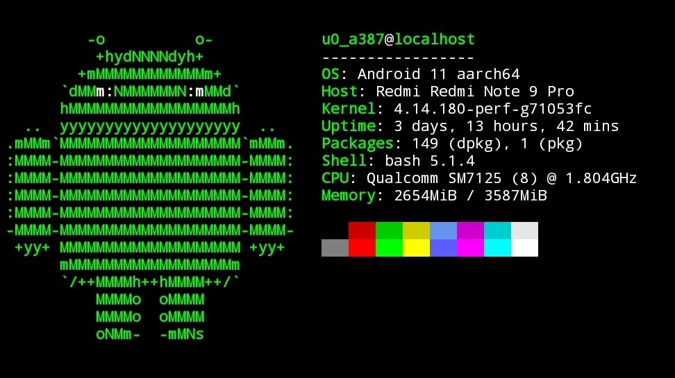 Screenshot of neofetch