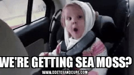 meme sea moss