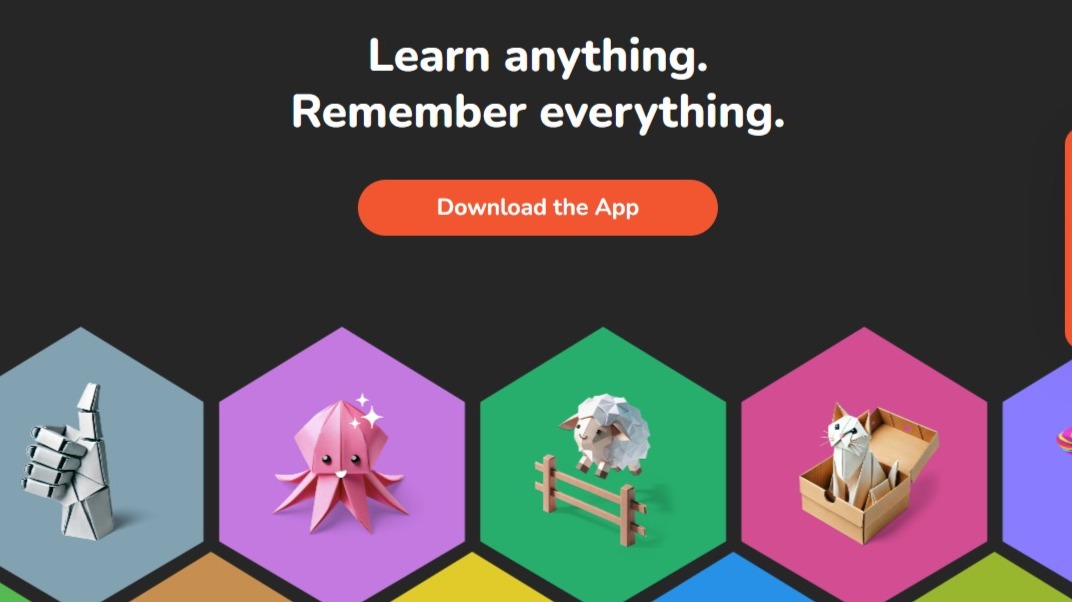 Kin Learning Dual Learning with Kinnu