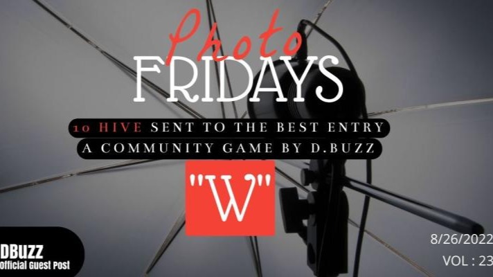 Photo Fridays - Have some photo fun and have a shot at winning 10 Hive! "w"