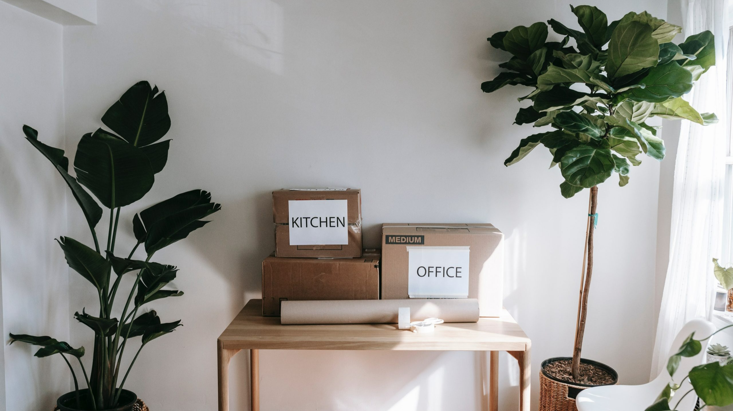 Take the Stress Off Your Business Move: Relocate Without Disrupting Your Business, VitalyTennant.com