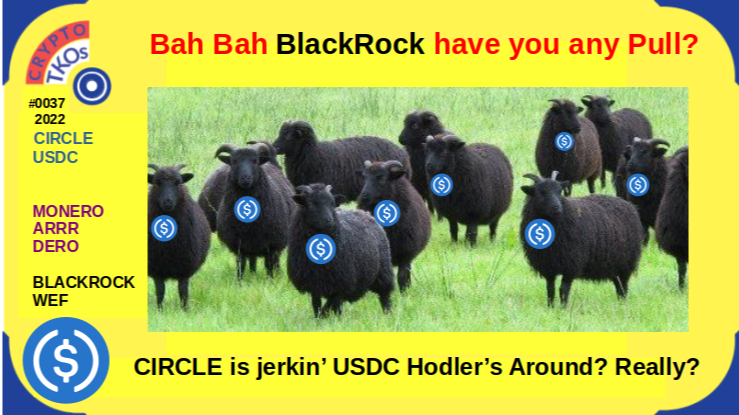 CIRCLE's jerkin' USDC Hodler's around with Blackrock as primary guardian of what you thought was your money